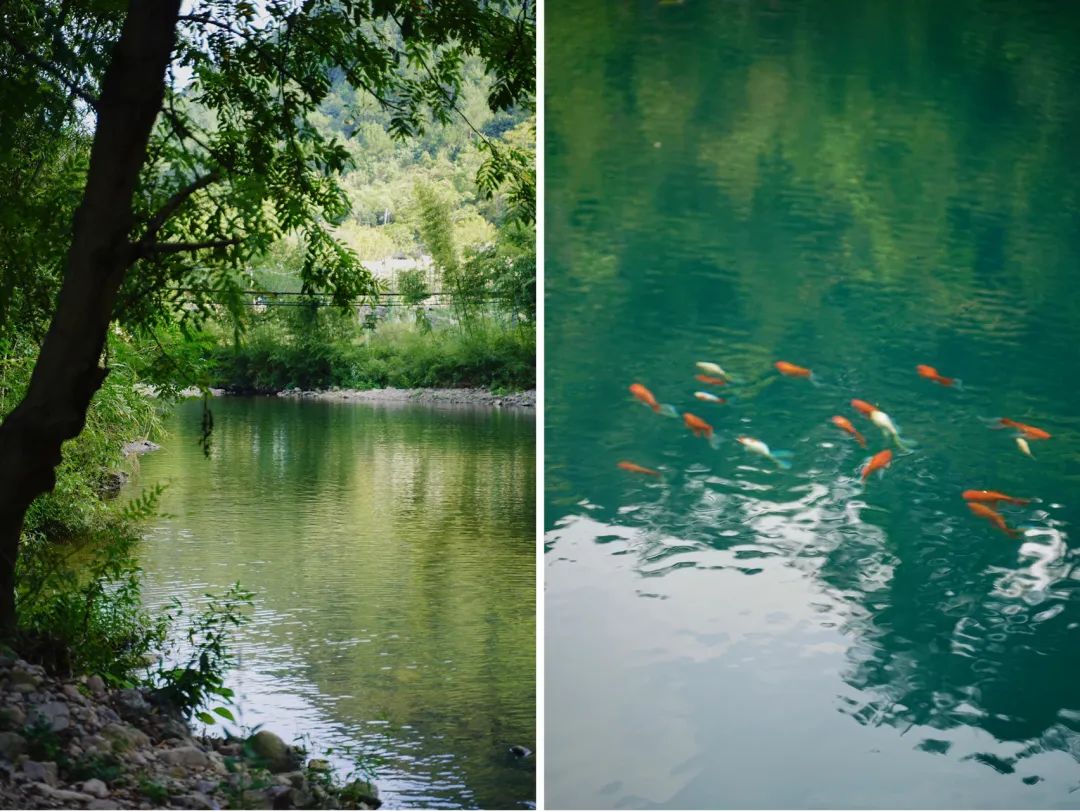 适合夏天避暑旅游的地方,适合夏天避暑的旅游地方
