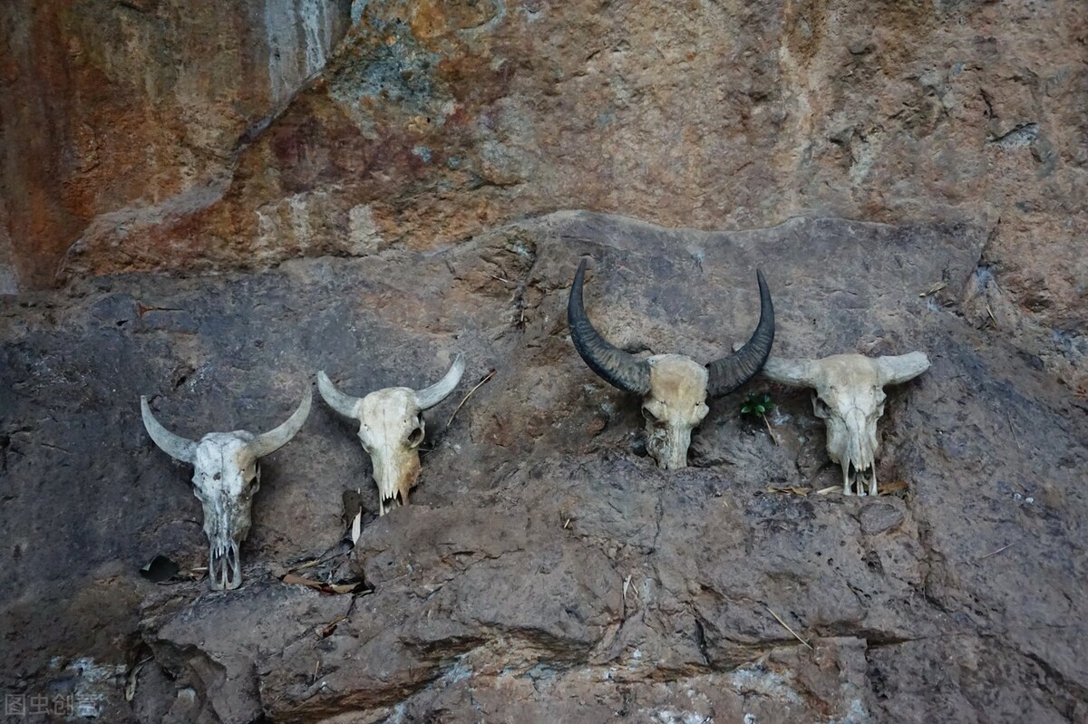 酷热难耐的八月即将过去,天气太热了回云南避暑