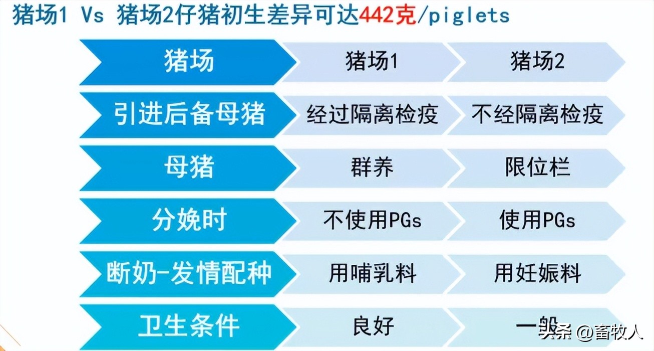 万建美博士:母仔一体化低蛋白猪料配方方案的设计与应用关键