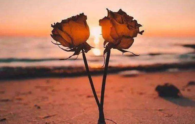 如果感觉生活很累那就歇一歇,如果你觉得累了就停下来歇歇吧