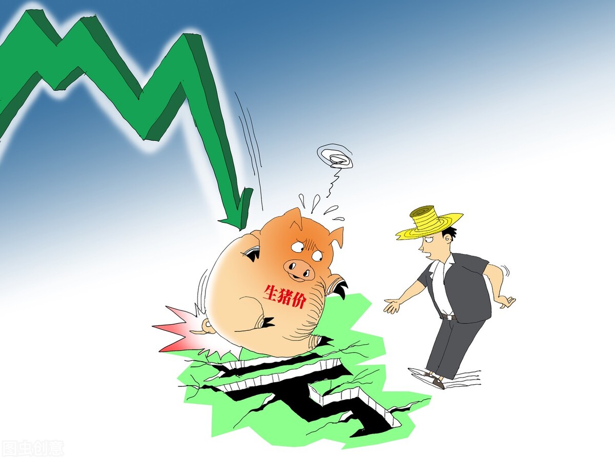 被起诉执行银行卡被冻结了,被执行了银行卡冻结没钱去开庭