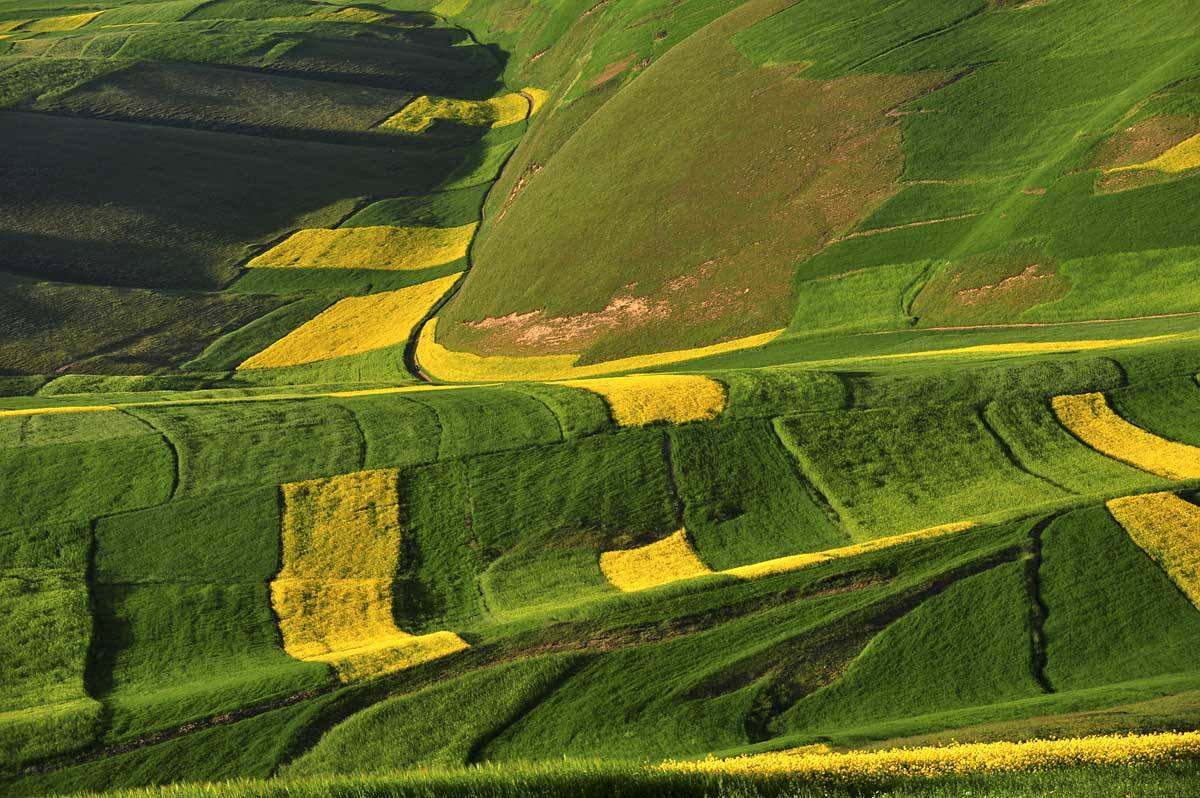 祁连大草原青海湖四日游,大美青海六日游