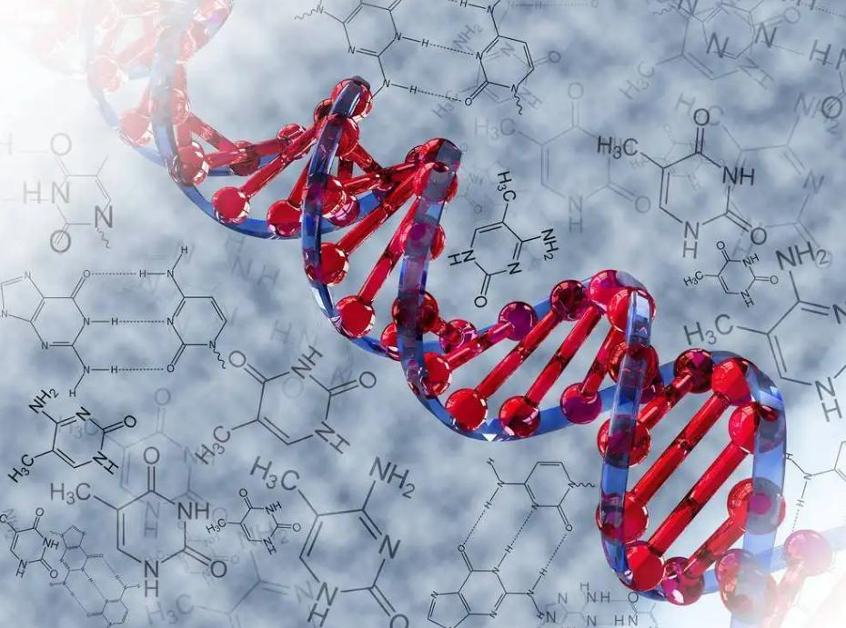 碳基生命与硅基生命对比视频,从碳基生命到硅基生命时间表