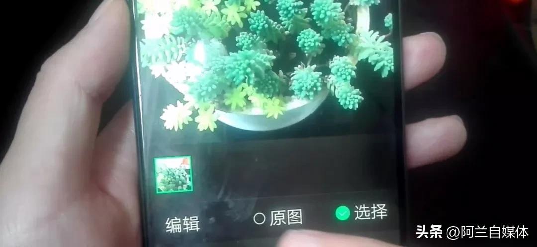 微信隐藏功能拍人,原来微信还隐藏着一个照相开关