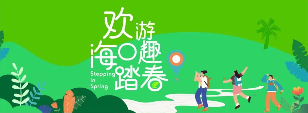 春日出游计划东寨港红树林观鸟游,东寨港红树林观鸟