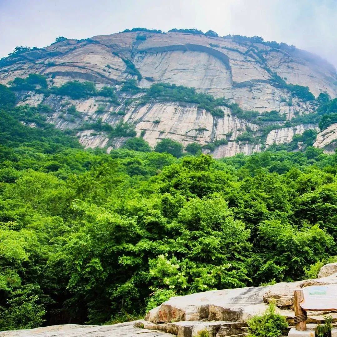 不觉秋已至的古诗,不觉秋已至绝美的平原之秋