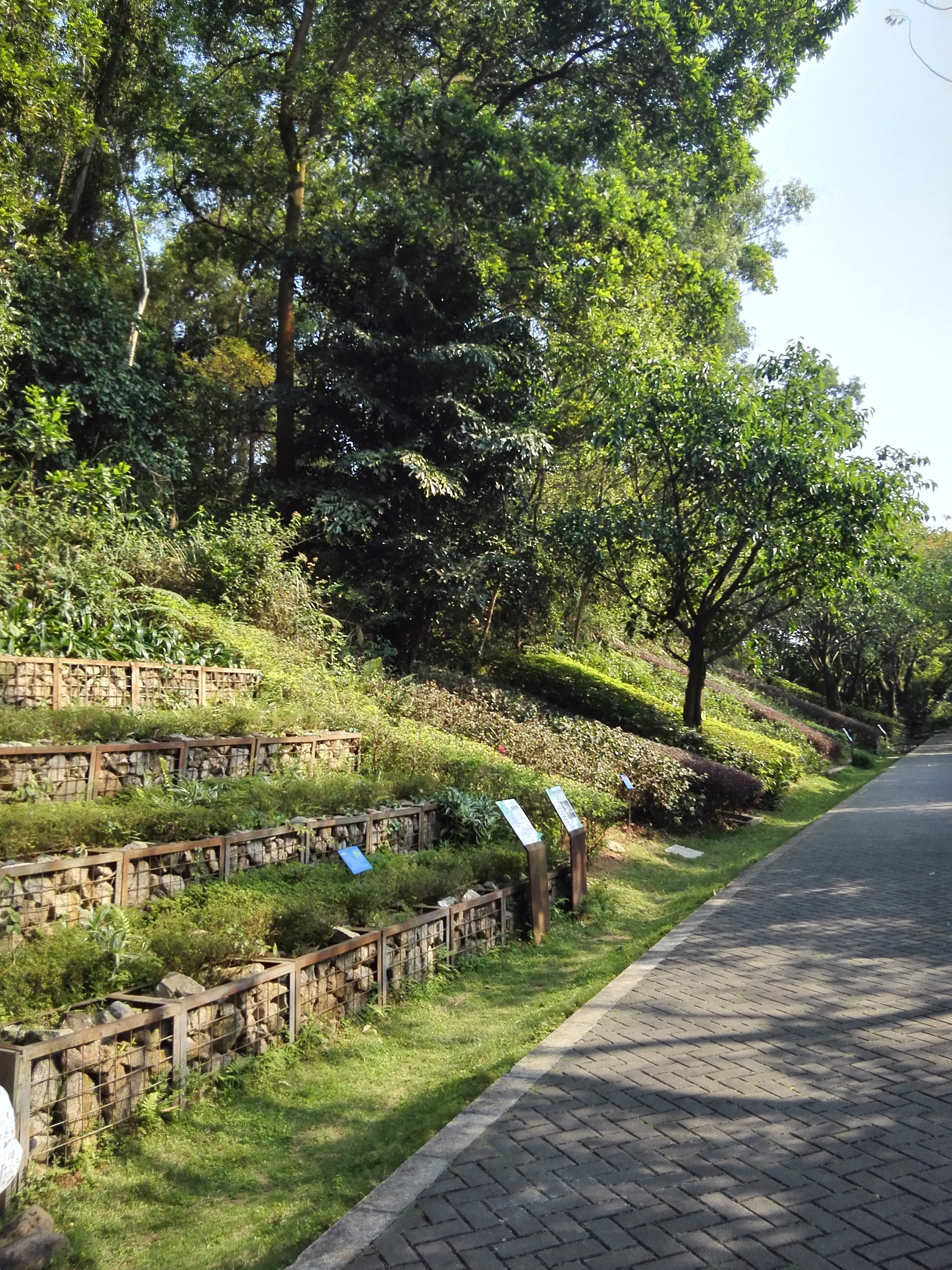 西丽水土保持科技示范园要预约吗,西丽水库水土保持示范园