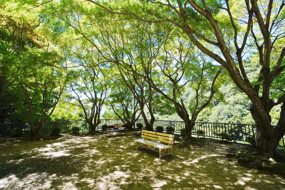 一寸光阴一寸金,一寸光景一寸金