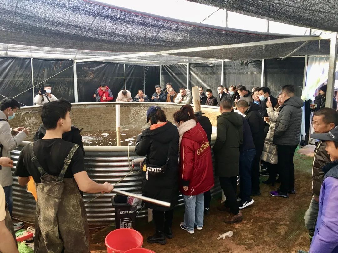 4项国家专利加持！养殖尾水处理制胜法宝！探秘佛山南海这家农企→