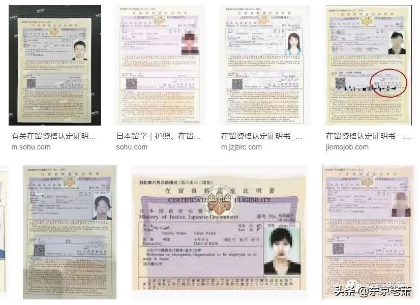 五十位朋友亲身攻略——疫情之下手把手教你日本登陆