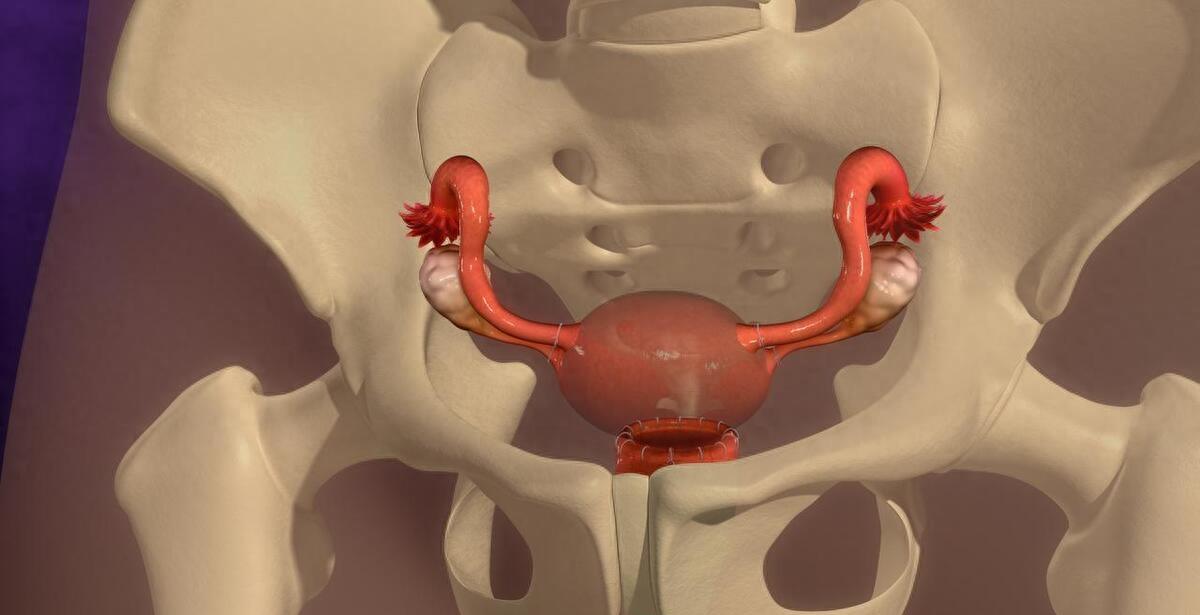 没有阴道的女人,和正常女性有哪些不同?还能有夫妻生活吗?