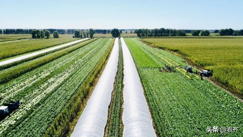 齐齐哈尔市梅里斯新闻,齐齐哈尔市梅里斯区最新视频