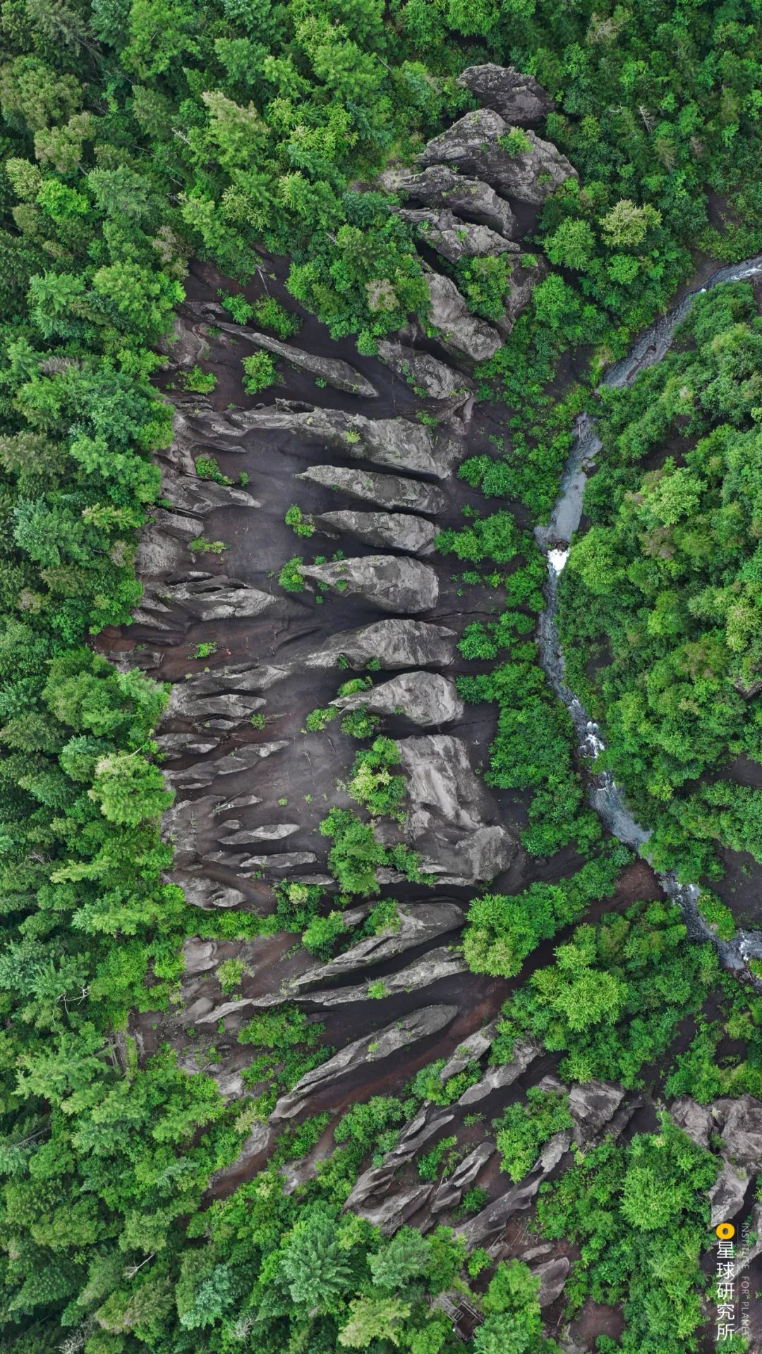 圣山龙脉,龙脉圣地黄帝陵