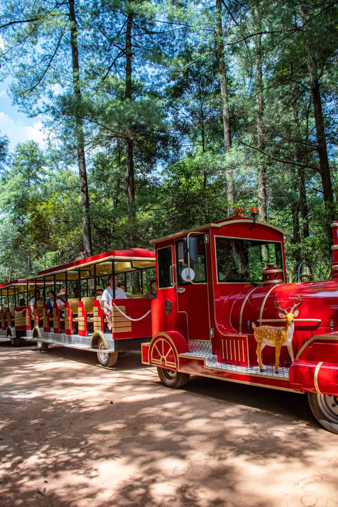 昆明松鹿原始部落,松鹿部落免费的景点