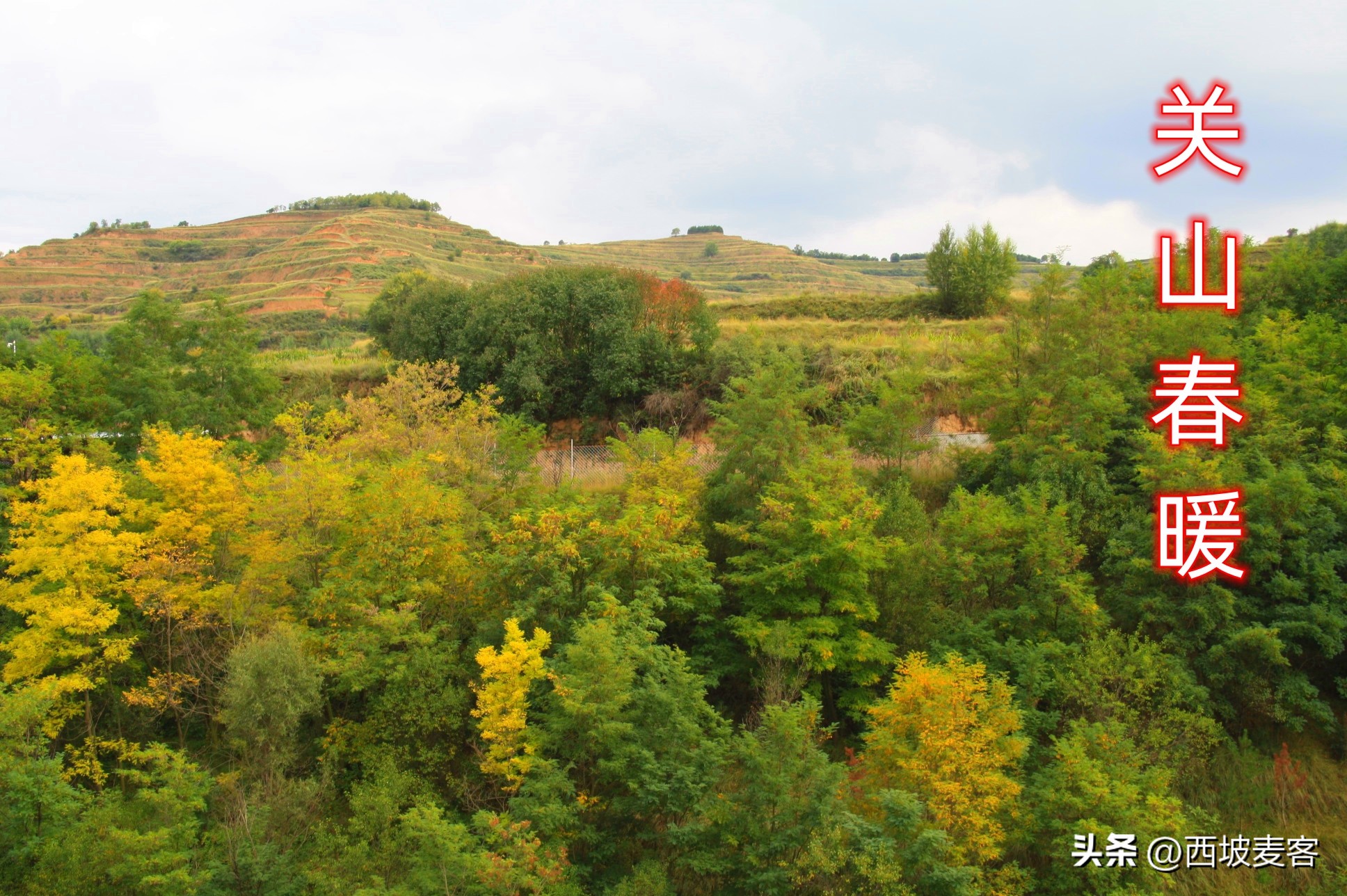 赚钱剧本,走路赚钱剧本