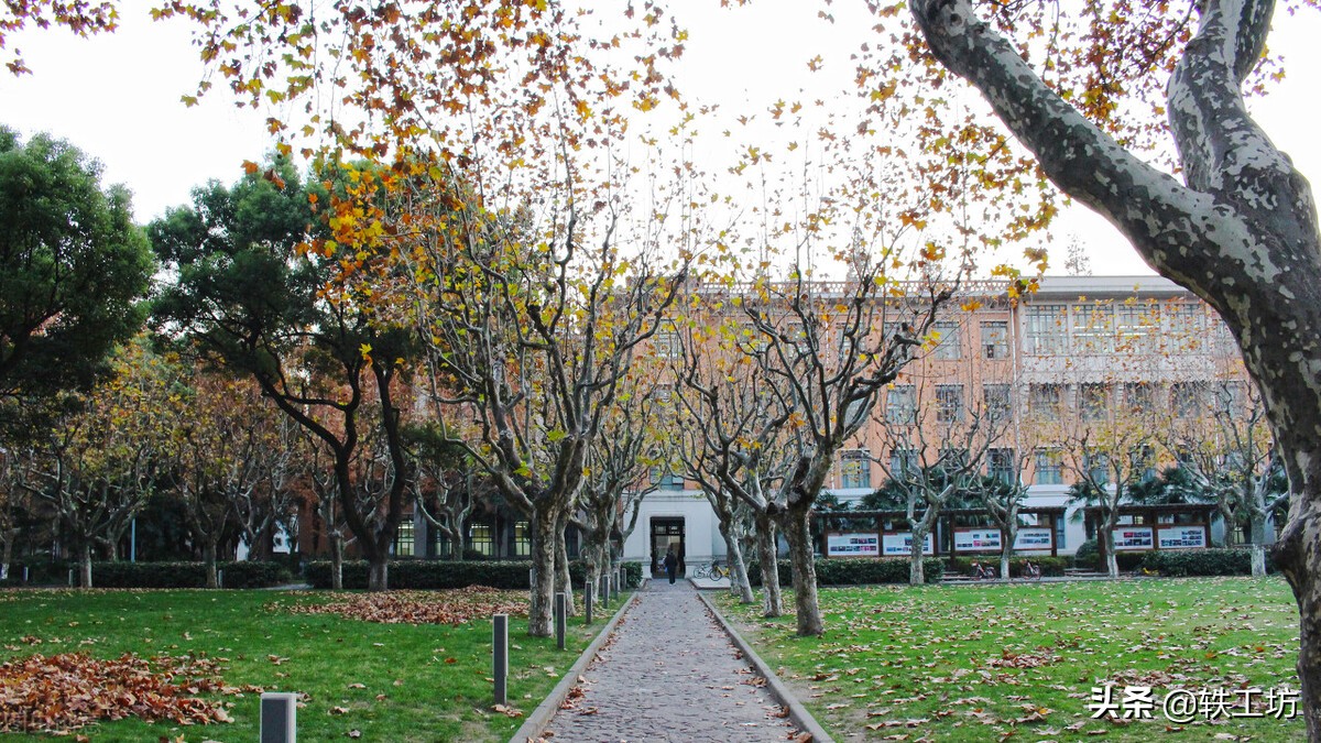 上海的211大学名单排名榜最新,上海211大学名单和985大学名单