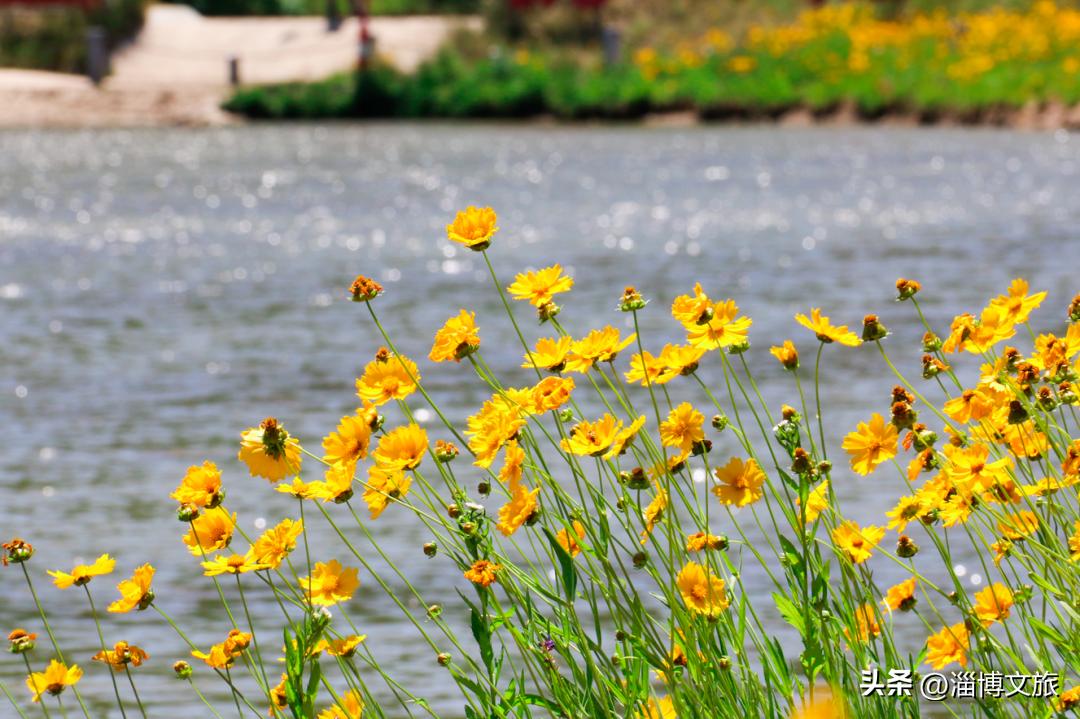 淄博宝藏景点推荐,山东淄博的宝藏