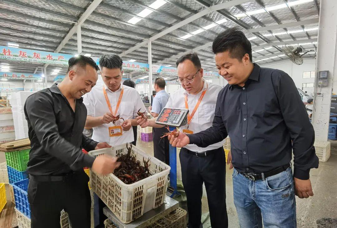 小龙虾产业成功案例,小龙虾养殖大户创业故事