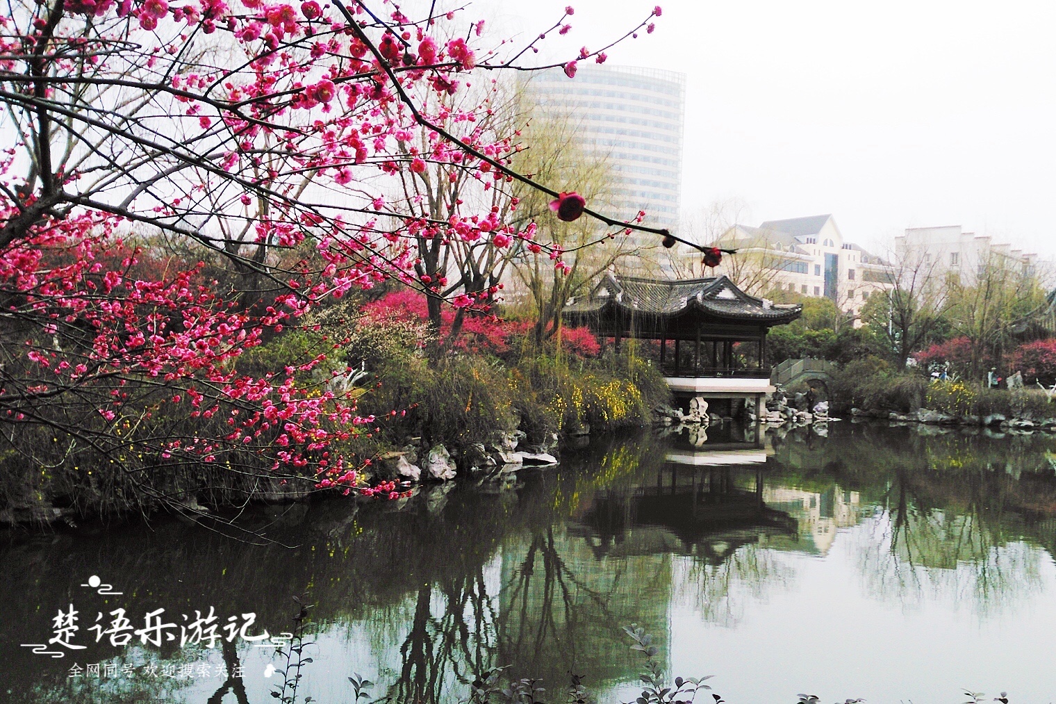绍兴赏梅全攻略,浙江赏梅最好的地方