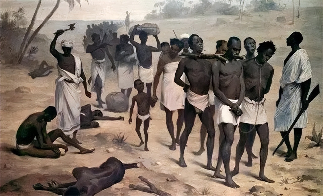 贩卖黑奴时,奴隶主怎么挑选?掰开嘴巴看牙齿,靠舔下巴识别汗液