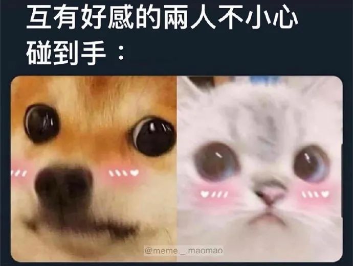 这摄影师是个抓拍鬼才|冷段子2068