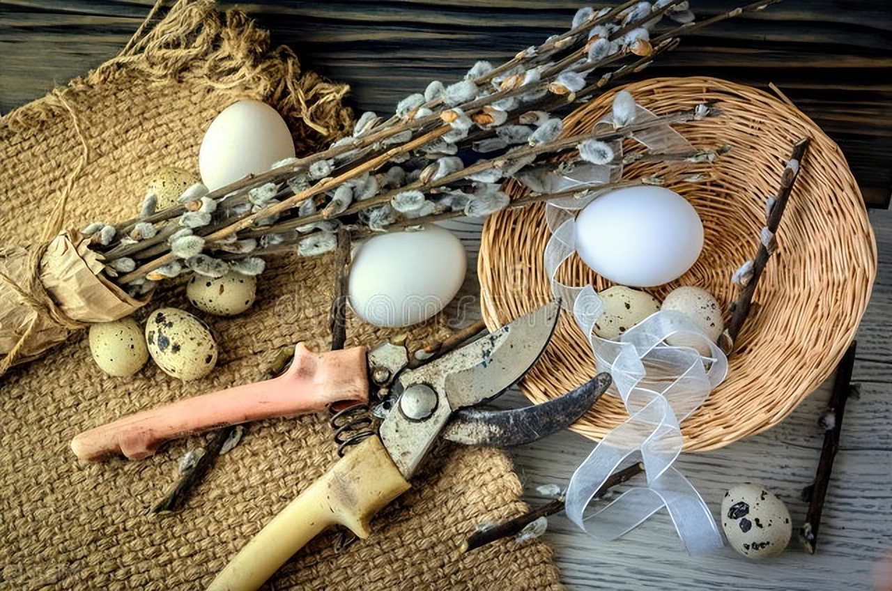 脂肪肝需要补充胆碱吗,脂肪肝补充维生素有用吗