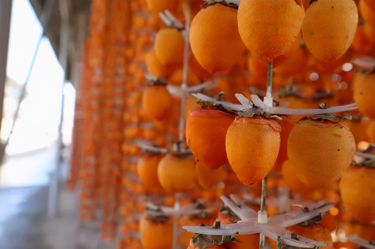 富平县政协,富平政协