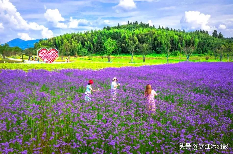 “五一”期间，景德镇客房价格飙升至10989元/晚：它有什么魅力？