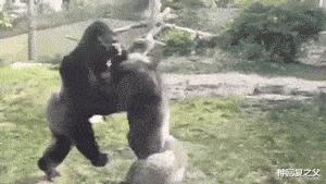 神回复把妹子都惊呆了,神回复尴尬的事