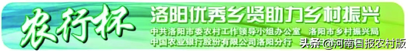 宜阳县郝孝伟:致力现代养殖“孵化”致富希望