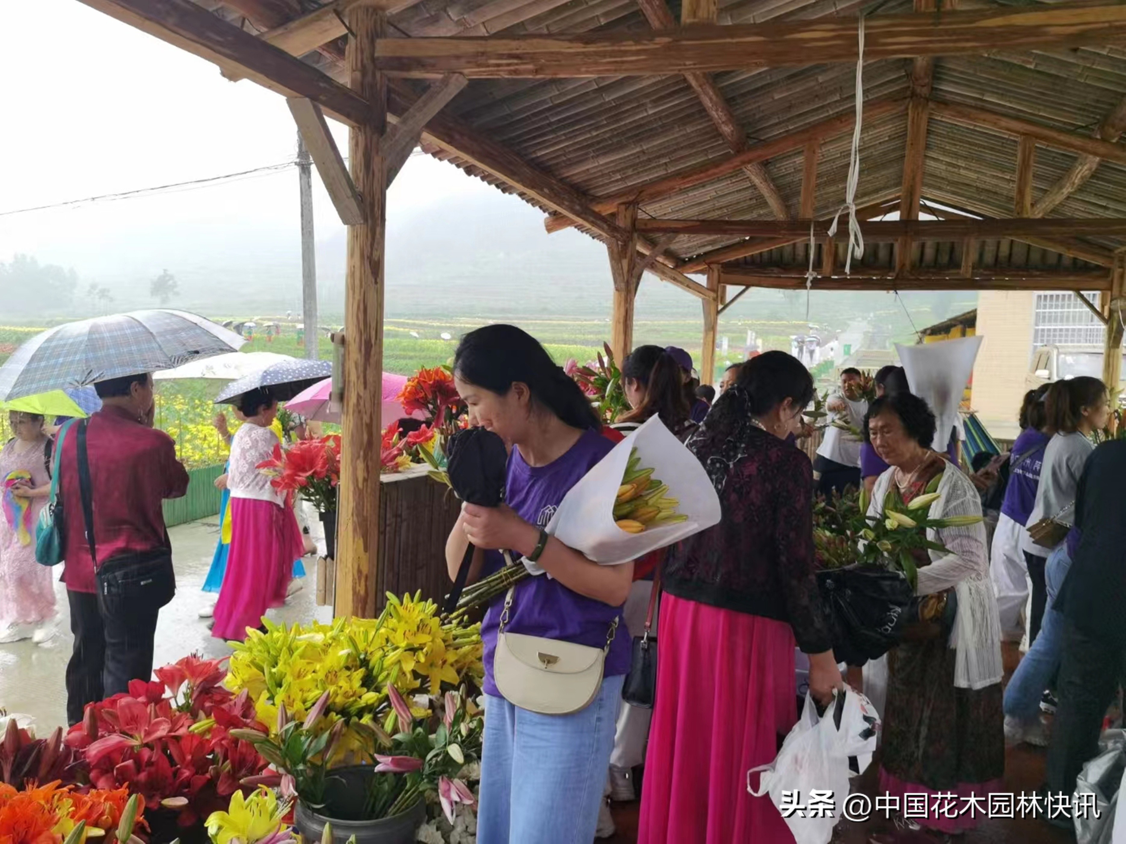 身残志坚百合王子余小龙上榜“大国农匠”