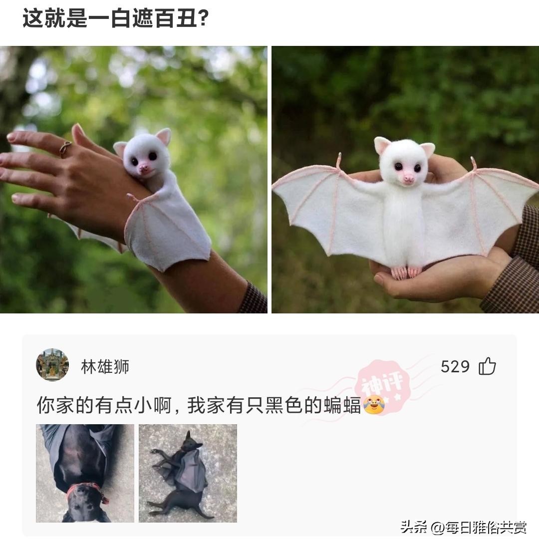 盘点那些“盐选神回复”,盐选神回复