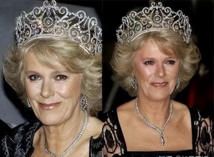 梅根被气走了,梅根卡米拉最新视频