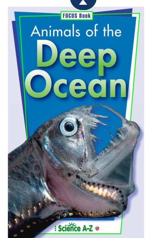 什么是大名鼎鼎的LearningA-Z?全球最详细的中文版图文视频介绍