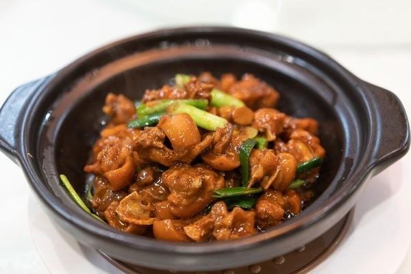 湾区光影魅力,南沙湾区超美风景线