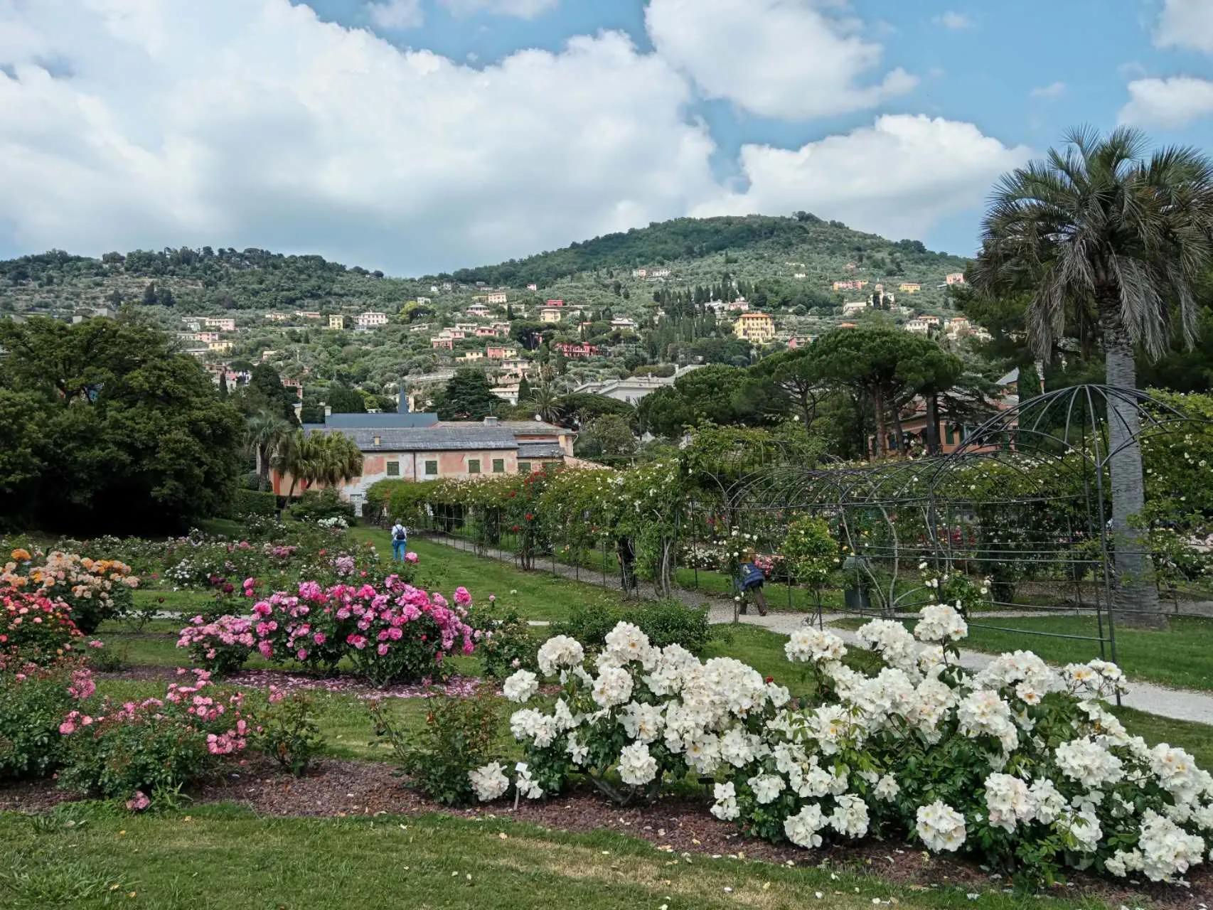 当过10年教师转行退休享受啥政策,88年当教师现在辞职还有什么待遇