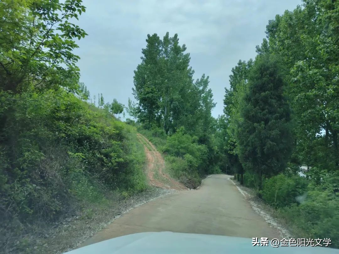 西安游洛阳旅游,游洛阳的感受