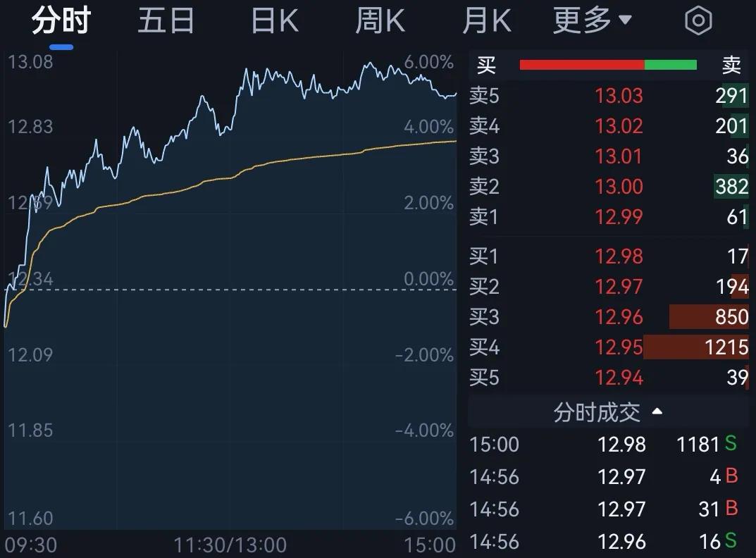 振华股份深度分析,越走越好完整版