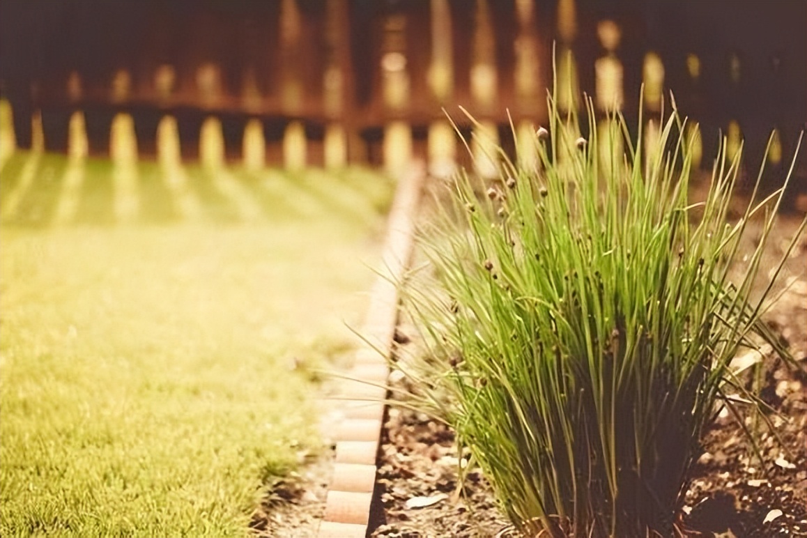 越有本事的人越爱隐藏这五点,越有本事的人往往越爱隐藏5件事