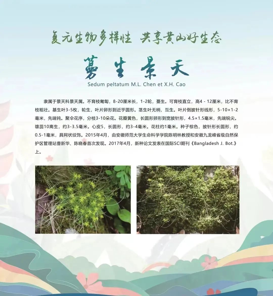 法治热点早知道问题,法治热点早知道鲍某某