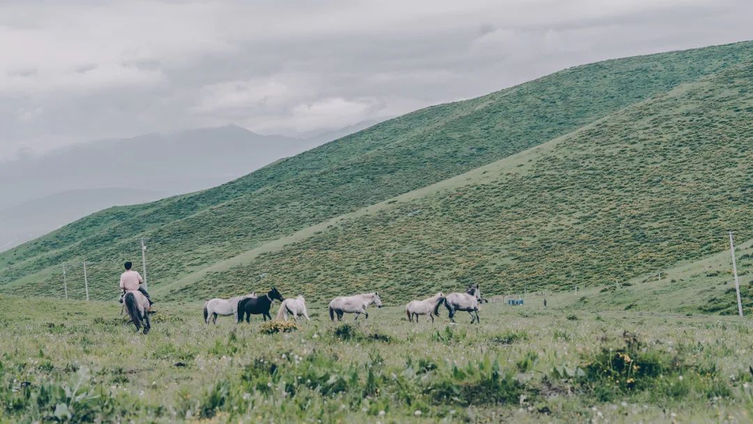 都去挤*疆新**？我选这个20°C的西北秘境