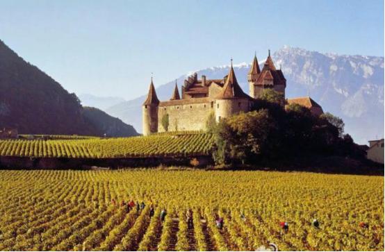 波尔多五大酒庄传奇书,波尔多五大酒庄排名榜