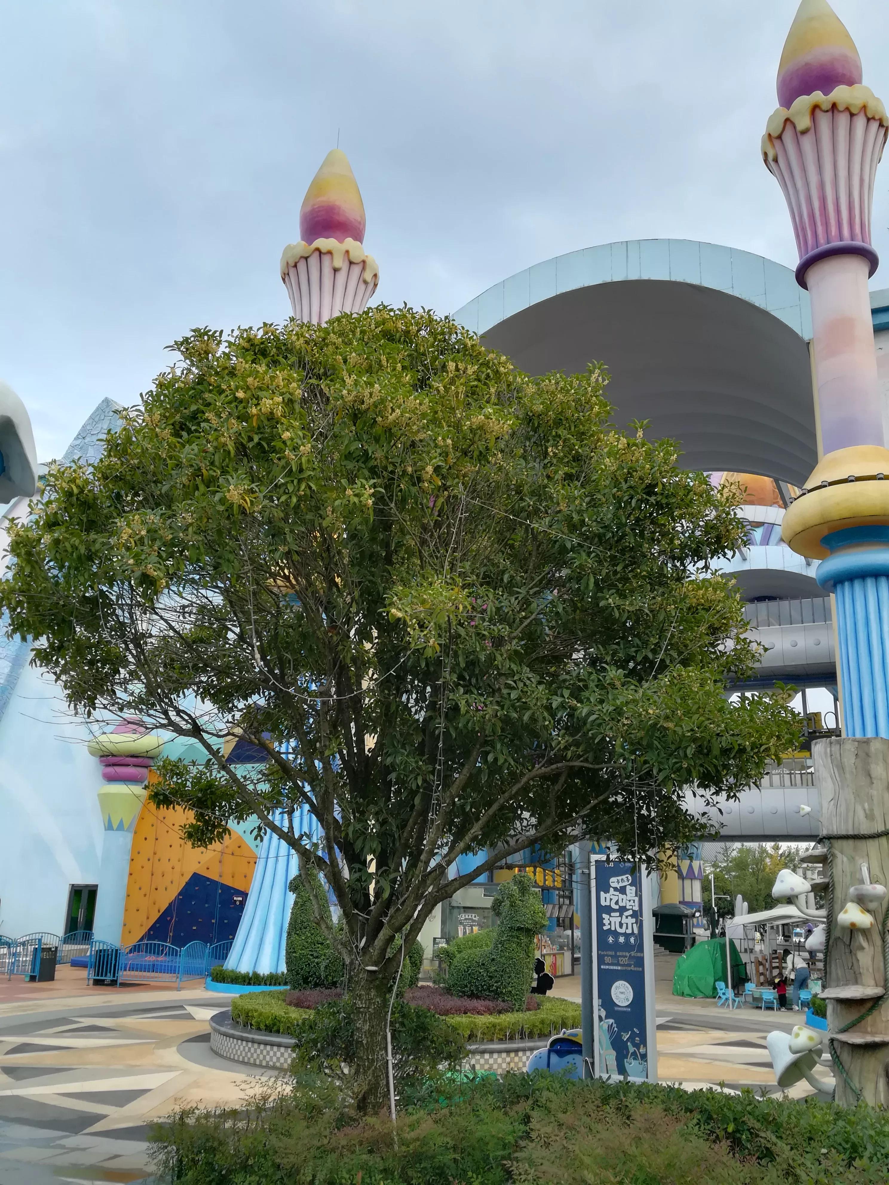 云南省昆明市1903公园