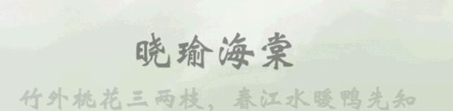 为什么都说东北女生很豪迈,正确评价东北女人