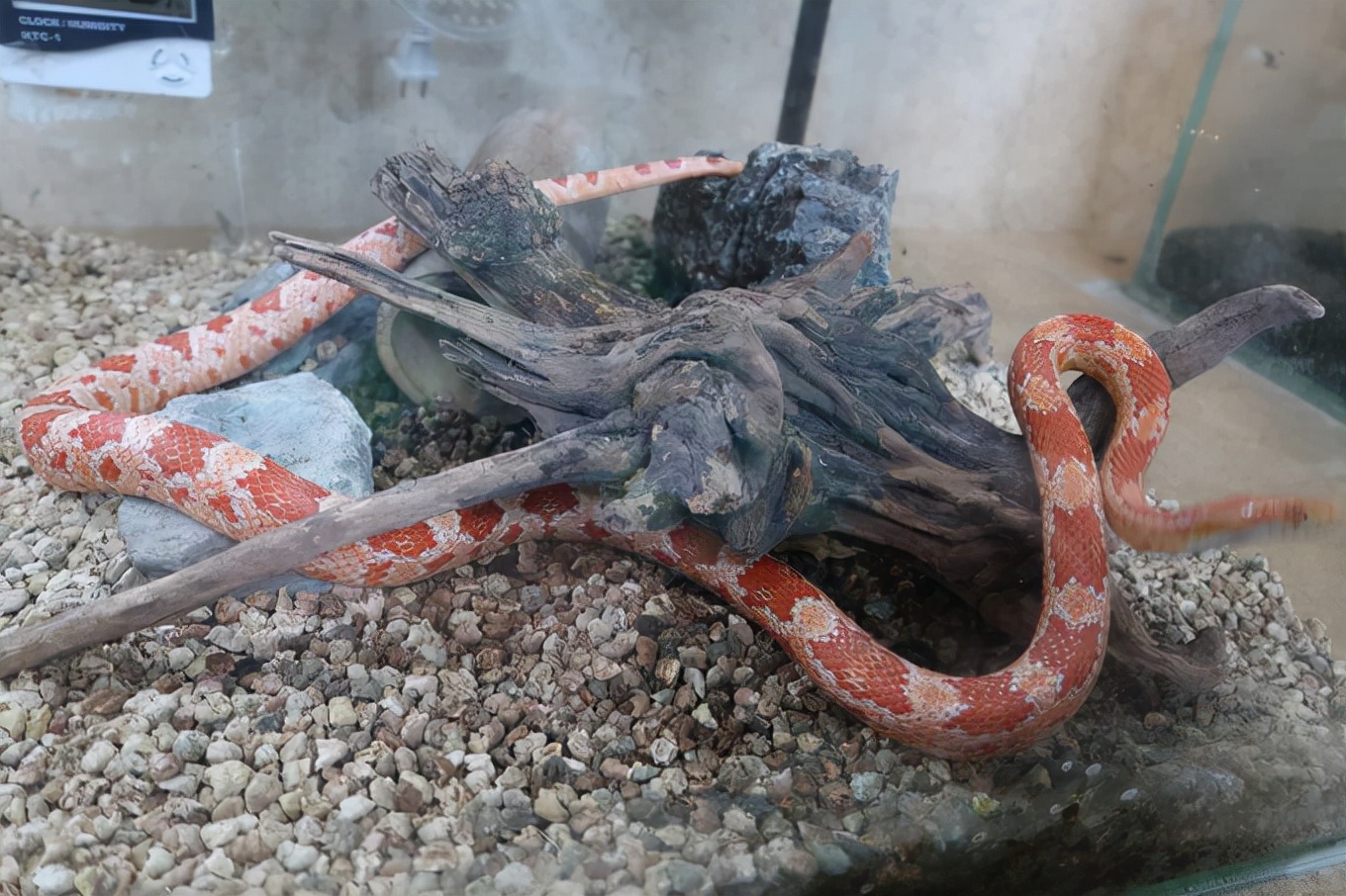 上海四天五夜旅游攻略,上海周边四天三夜攻略