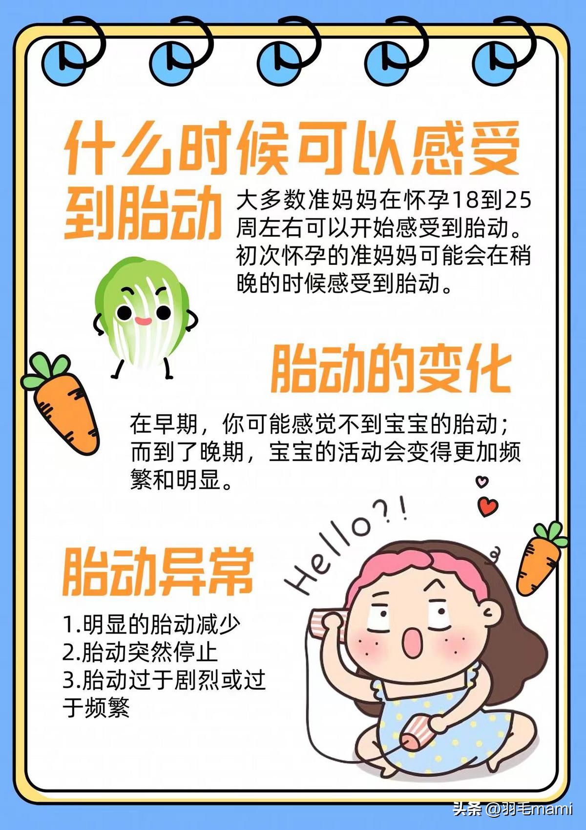 何时胎动感受明显,用手如何感受胎动