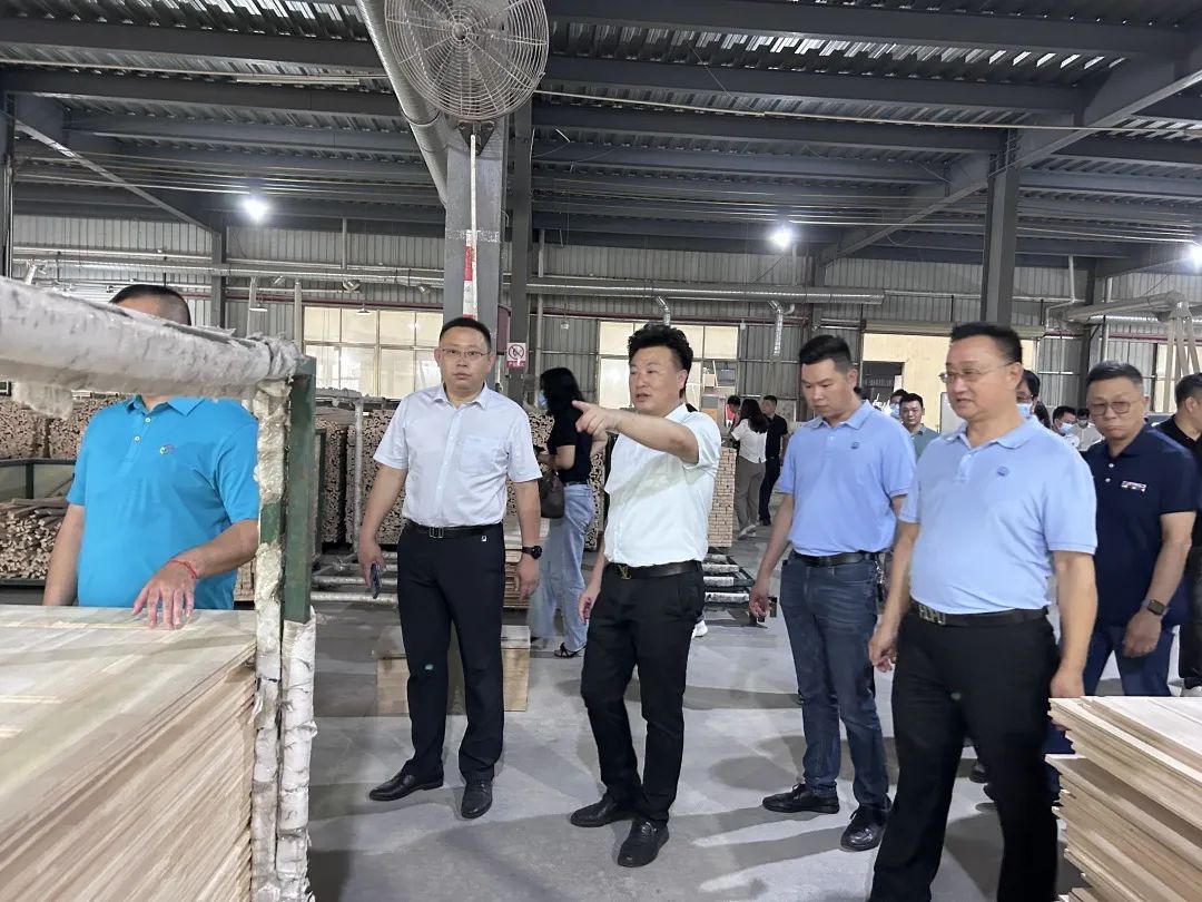 广东门业协会整木定制专委会,广东省门窗协会采访