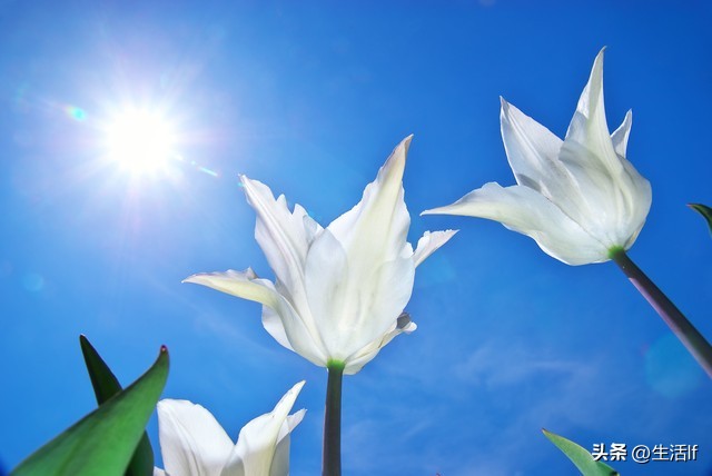 面对故意挑衅的人三种方法,当对方故意激怒你应该怎么做