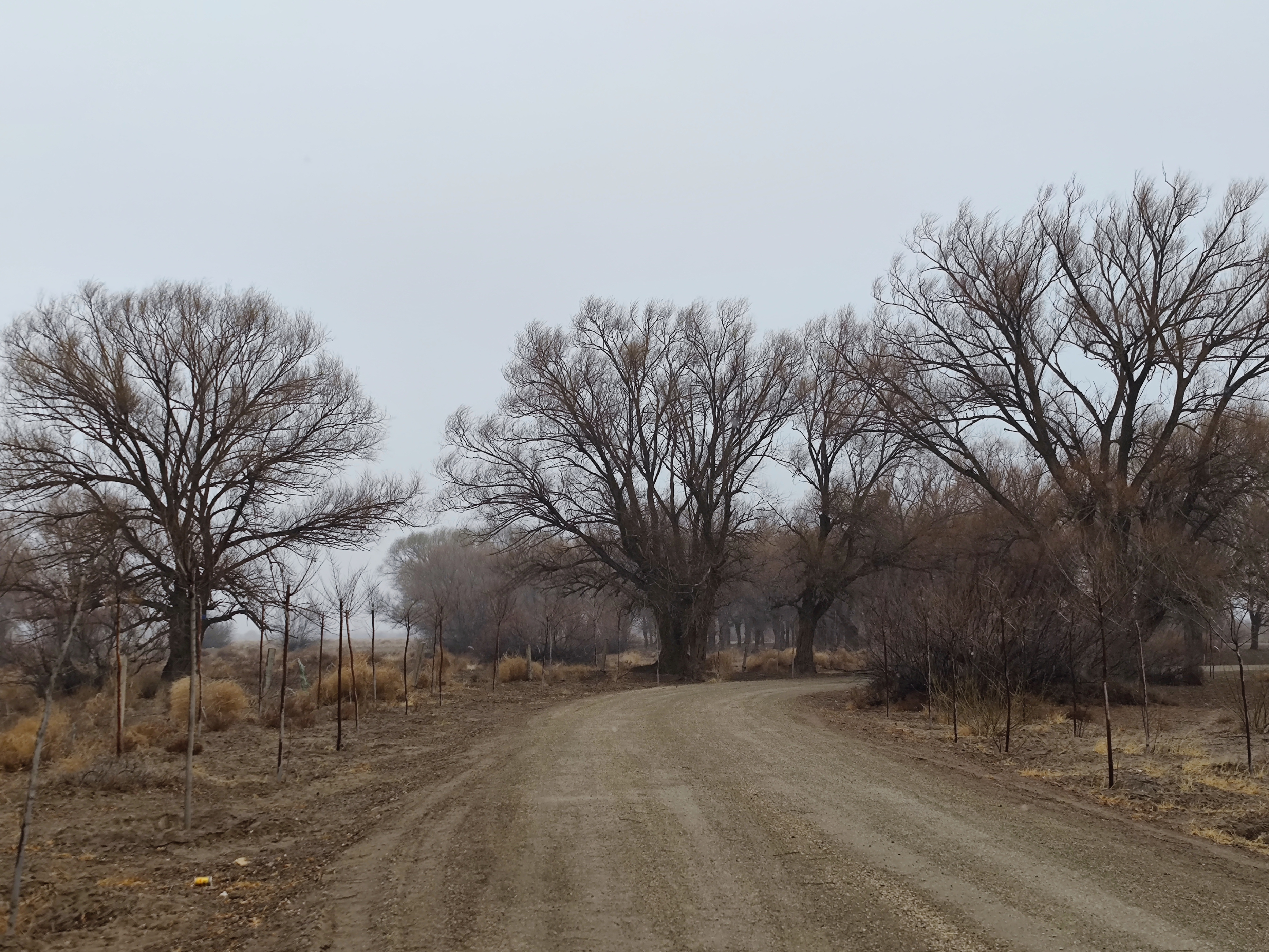 凉州不凉米粮川：人间四月天，行游河西天府之国“银武威”