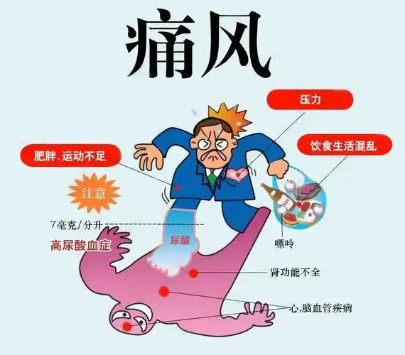 抑制痛风中药,缓解痛风的食物